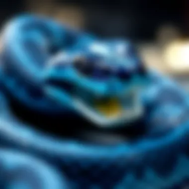 Magnificent Exploring the Aesthetics and Symbolism of Blue and Black Pit Vipers Magnificent Exploring the Aesthetics and Symbolism of Blue and Black Pit Vipers