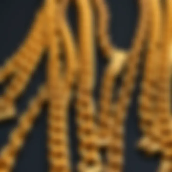 A variety of Cuban link chain styles displayed stylishly