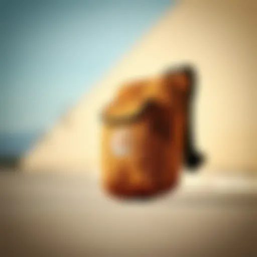 Stylish Carhartt sling bag showcasing its modern design