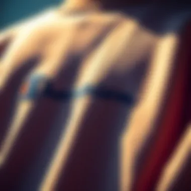 Fabric Texture of Champion Classic Sweatshirt Close-up of the Champion Classic Crew Neck Sweatshirt showcasing the fabric texture