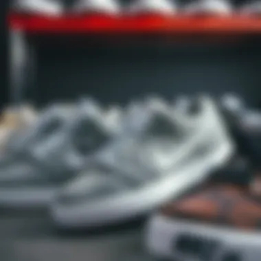 Collection of Gray Nike SB Shoes Showcased Collection of gray Nike SB shoes showcased