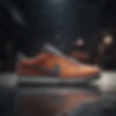Materials Used in Nike Pro Shoes A detailed look at the materials used in Nike Pro shoes