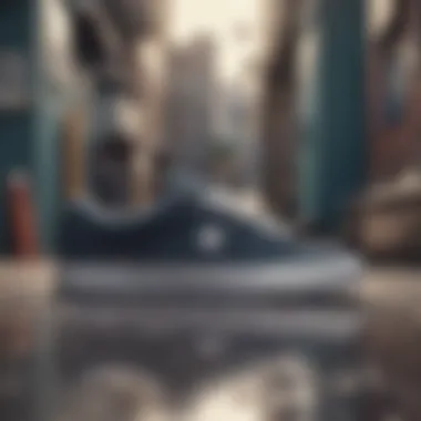 Current Product Line of DC Shoes Current product line of DC Shoes