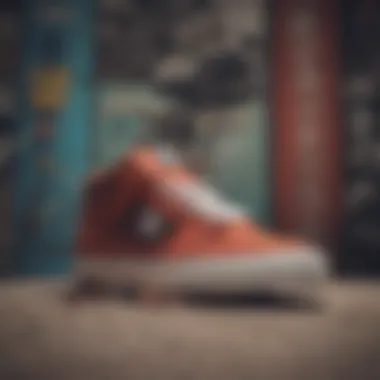 The Historical Evolution of DC Shoes in Skateboarding Historical evolution of DC Shoes