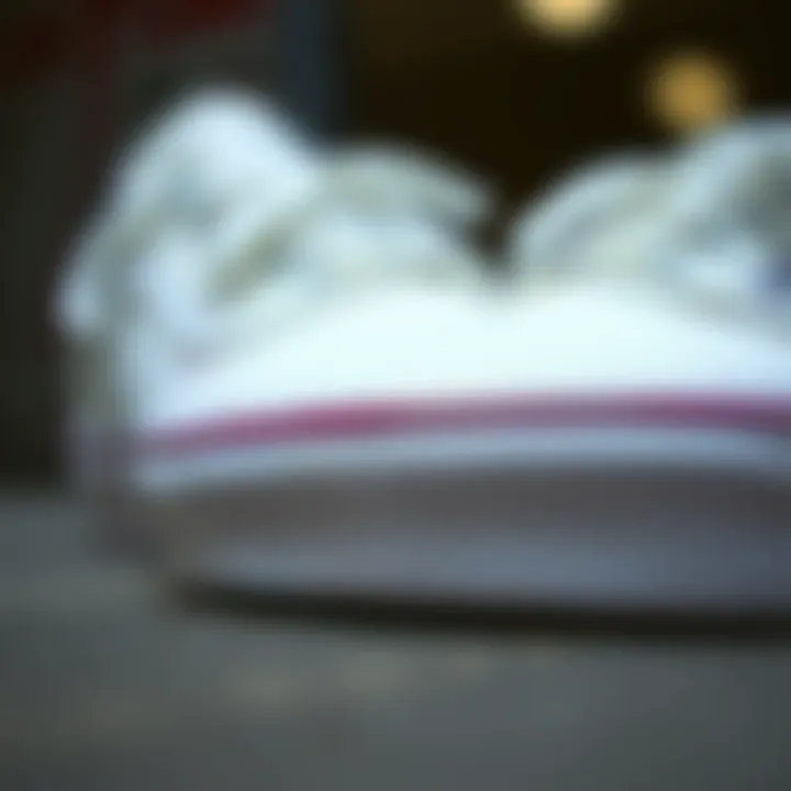 Design Elements of True White Vans A close-up view of True White Vans showcasing their unique design elements