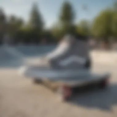 Vans Half Cab at the Skate Park Vans Half Cab grey in a skate park setting