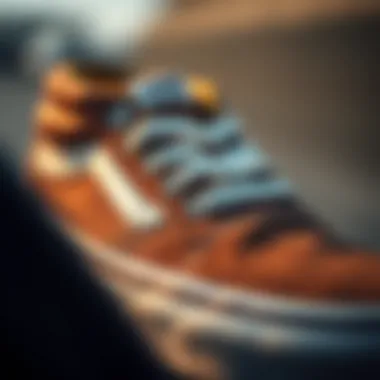 Material Quality of Vans Sneakers Close-up of the material quality of Vans sneakers