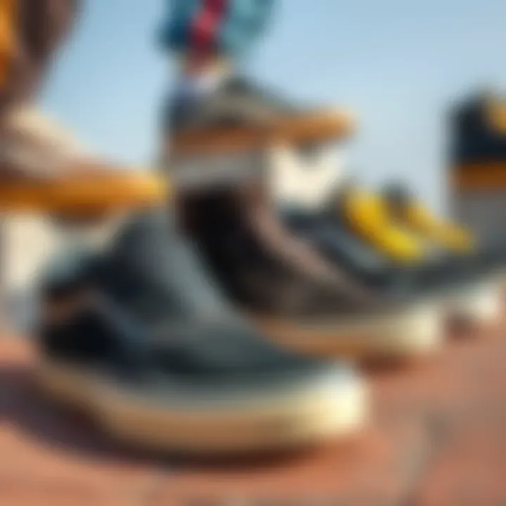 Historical evolution of Vans showcased through various old and new styles