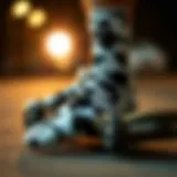 Close-up of cow print socks on a skateboard