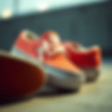Exploring DC Slip Ons: A Comprehensive Look Summary