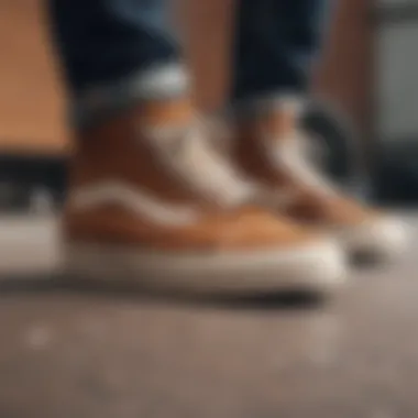 Demonstrating Care Tips for Suede A well-maintained pair of brown suede Vans demonstrating care tips