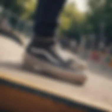 Vans in Action at the Skate Park Vans shoes displayed in a skate park environment
