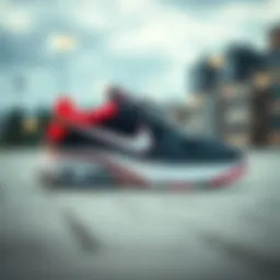 No lace Nike shoes designed for skateboarding