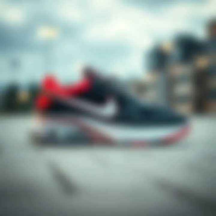 No lace Nike shoes designed for skateboarding