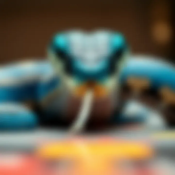 Notable Exploring the Aesthetics and Symbolism of Blue and Black Pit Vipers