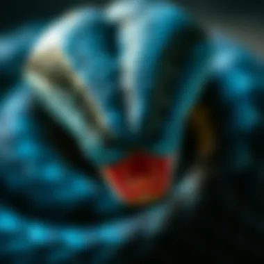 Exploring the Aesthetics and Symbolism of Blue and Black Pit Vipers Summary Exploring the Aesthetics and Symbolism of Blue and Black Pit Vipers Summary