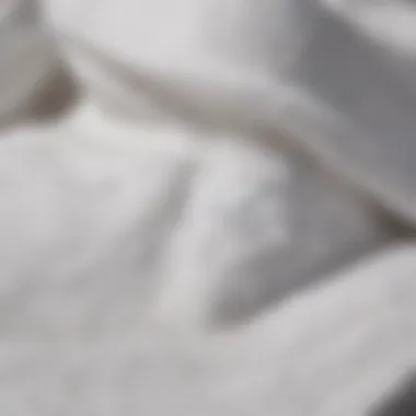 Fabric Quality of White Adidas Sweats Close-up of white Adidas sweats showcasing fabric texture