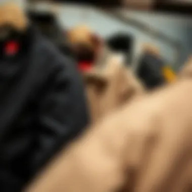 Variety of Black Coach Jacket Styles Different styles of black coach jackets displayed together