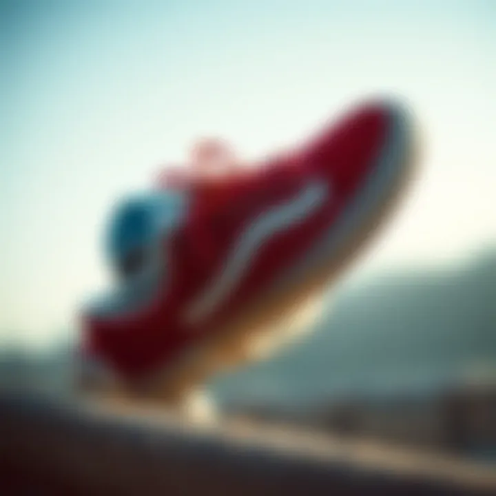 Exploring the Dynamics of Vans 25 Off Coupons Summary