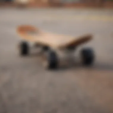 Innovative Termite Skateboard design featuring eco-friendly materials