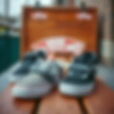 Stylish Vans with straps showcased on a wooden deck