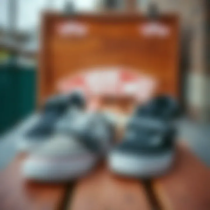 Stylish Vans with straps showcased on a wooden deck