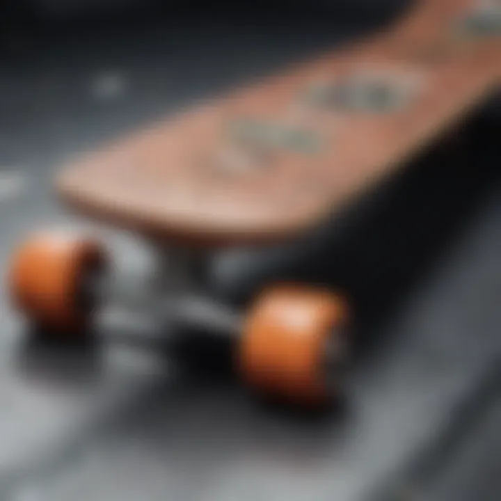 High-quality skateboard showcasing craftsmanship and materials