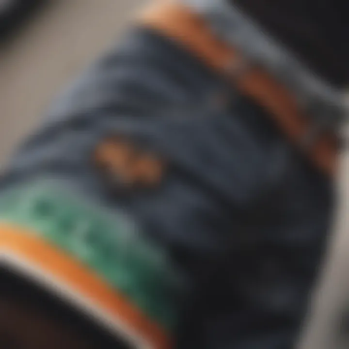 Close-up of HUF shorts showcasing unique design elements