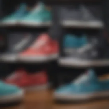 Color Variations of Lakai Fremont Shoes Different color variations of the Lakai Fremont shoes displayed together.