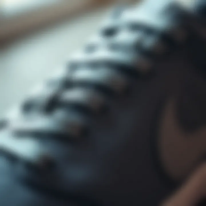 Close-up of Gray Nike SB Shoe Detailing Close-up of gray Nike SB shoe detailing