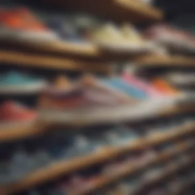 Historical Evolution of Vans Shoes A historical display of Vans shoes highlighting their evolution in style and color.