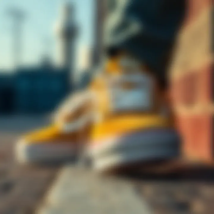 Maintenance Tips for Vans Velcro Old Skool Care tips for maintaining Vans Velcro Old Skool shoes