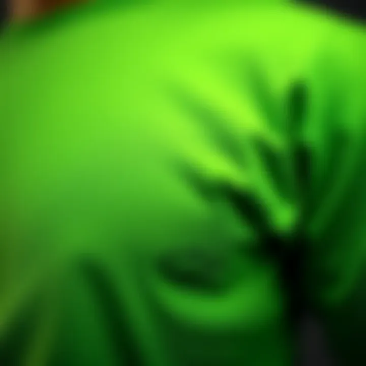 Close-up of fabric texture of a green long sleeve tee shirt