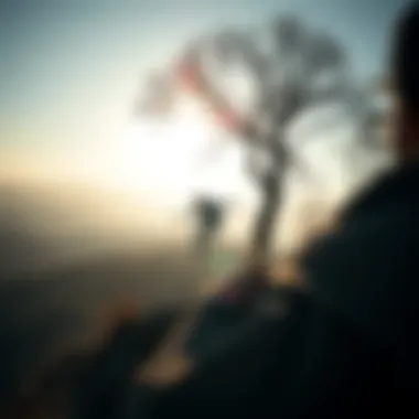 Notable The Hippy Tree Phenomenon in Skateboarding Culture Notable The Hippy Tree Phenomenon in Skateboarding Culture