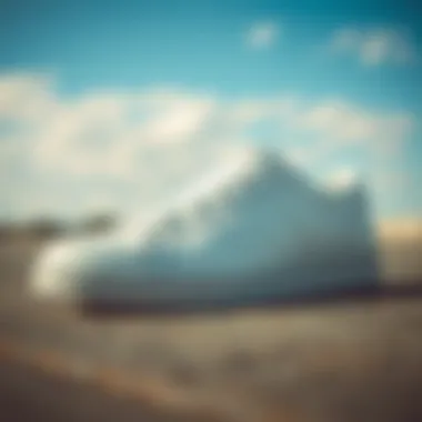 Maintaining Vintage Sneakers Care tips for maintaining vintage sneakers