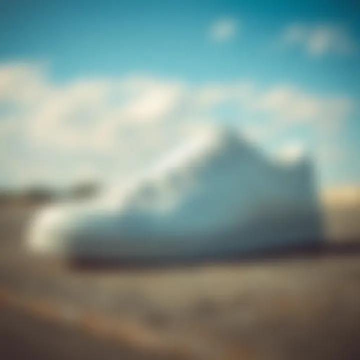 Maintaining Vintage Sneakers Care tips for maintaining vintage sneakers