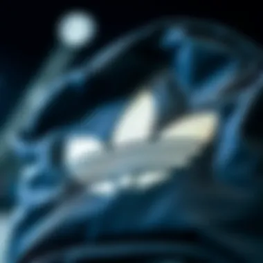 Durability Features of Trefoil Adidas Backpack Close-up of the durable fabric and stitching of the backpack