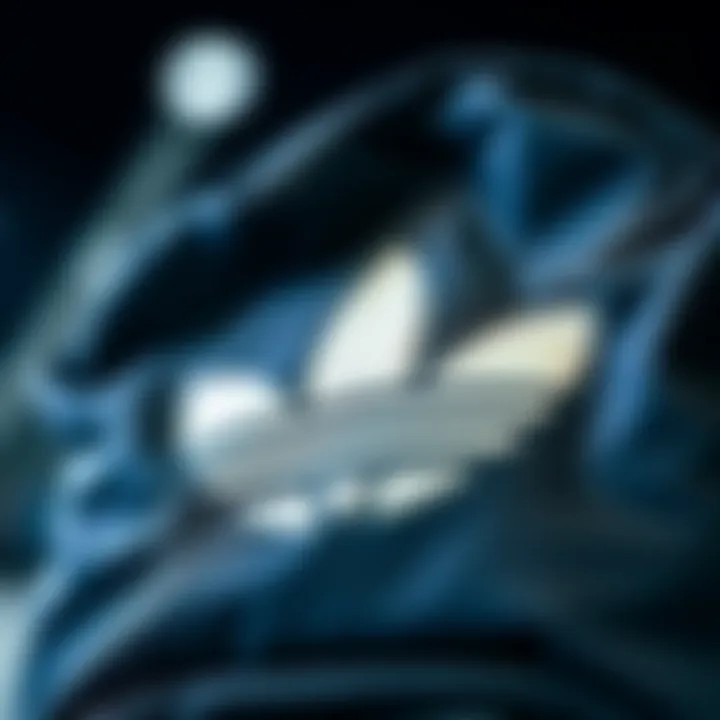 Durability Features of Trefoil Adidas Backpack Close-up of the durable fabric and stitching of the backpack