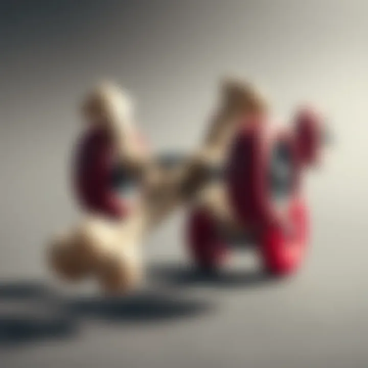 Visual representation of skateboard bones and their impact on performance