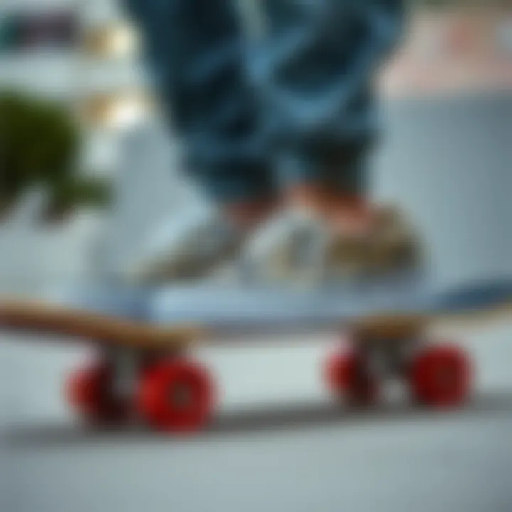 Stylish Vans animal print slip-ons on a skateboard