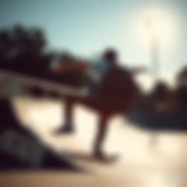 Action Shot of Skater with Vans Backpack Skater using Vans leopard print backpack while performing tricks at a skatepark