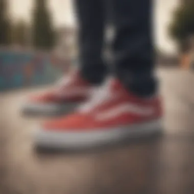 Vans Low Skate Shoes with Skateboarding Essentials Vans low skate shoes paired with skateboarding gear at a skate park