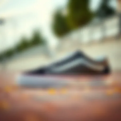 Sleek Design of Vans Old Skool Pro Vans Old Skool Pro showcasing its sleek design and iconic silhouette