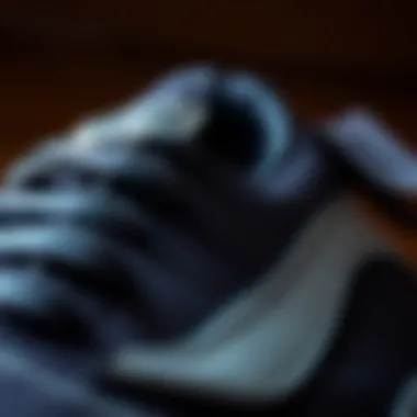 Close-up of the Vans Old Skool Pro's durable materials and stitching