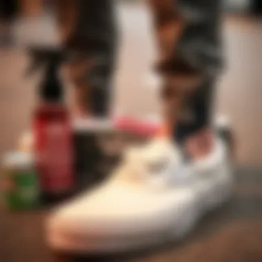 Footwear maintenance products alongside Vans slip-ons